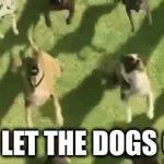 "Who let the dogs out!?" | WHO LET THE DOGS OUT? | image tagged in gifs,funny dogs | made w/ Imgflip video-to-gif maker