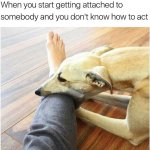 Being Attached. Relatable meme