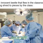 Surgery | The innocent beetle that flew in the classroom 
being shred to pieces by the class: | image tagged in surgery | made w/ Imgflip meme maker