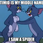 timid tabby beg | TIMID IS MY MIDDLE NAME; I SAW A SPIDER | image tagged in timid tabby beg | made w/ Imgflip meme maker