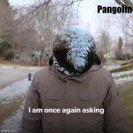 Pangolin I Am Once Again Asking For….