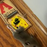 Rattrap
