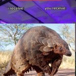 Pangolin Trade Offer