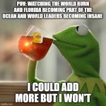 fr | POV: WATCHING THE WORLD BURN AND FLORIDA BECOMING PART OF THE OCEAN AND WORLD LEADERS BECOMING INSANE; I COULD ADD MORE BUT I WON'T | image tagged in memes,but that's none of my business,kermit the frog,true,sad,fun | made w/ Imgflip meme maker