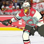 COQINU hockey league