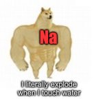 Sodium and Chlorine V.S. Salt | Na; Cl; NaCl; I’ve killed thousands, if not millions in WWII; soup too salty; I literally explode when I touch water | image tagged in 2 buff doge vs 1 cheems,science,memes,funny,salt | made w/ Imgflip meme maker