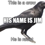 crow | This is a crow; HIS NAME IS JIM; He is racist | image tagged in crow | made w/ Imgflip meme maker