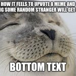 Satisfied Seal | HOW IT FEELS TO UPVOTE A MEME AND KNOWING SOME RANDOM STRANGER WILL GET A POINT; BOTTOM TEXT | image tagged in memes,satisfied seal | made w/ Imgflip meme maker