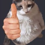 CatThumb