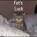 Did you read this wrong? | image tagged in cat fet's luck | made w/ Imgflip meme maker