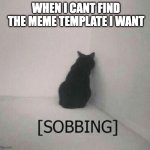 mems | WHEN I CANT FIND THE MEME TEMPLATE I WANT | image tagged in sobbing cat,memes,funny,relatable,true,templates | made w/ Imgflip meme maker