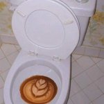 Coffee toilet