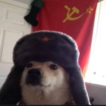 russian dog