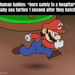 All the baby sea turtles know is that they must run. | Human babies: *born safely in a hospital*
Baby sea turtles 1 second after they hatch: | image tagged in gifs,memes,funny,sea turtle | made w/ Imgflip video-to-gif maker