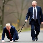 trump dog putin