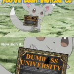 :/ | HOW PEOPLE FEEL WHEN THEY FALL IN THE SKATEPARK | image tagged in you've been invited to dumbass university,why | made w/ Imgflip meme maker