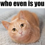 who even is you meme