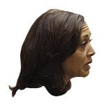 KAMALA - HEAD - PROFILE