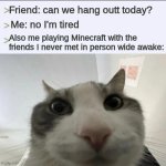 Cat playing minecraft | Friend: can we hang outt today? Me: no I'm tired; Also me playing Minecraft with the friends I never met in person wide awake: | image tagged in cat looks inside,memes,relatable,funny,true | made w/ Imgflip meme maker