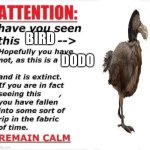 Do complain to the Archaeological Survey | DODO; BIRD | image tagged in a rip in the fabric of time | made w/ Imgflip meme maker