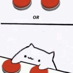 Cat with 2 choices