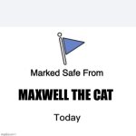 Marked Safe From Big | MAXWELL THE CAT | image tagged in marked safe from big | made w/ Imgflip meme maker