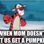 I wanted one… | WHEN MOM DOESN’T LET US GET A PUMPKIN | image tagged in gifs,memes,funny,tiger,halloween | made w/ Imgflip video-to-gif maker