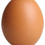 egg