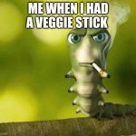 I thought it was a cigarette | ME WHEN I HAD A VEGGIE STICK | image tagged in caterpillar smoking | made w/ Imgflip meme maker