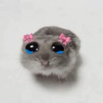 crying cute mouse