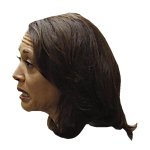 KAMALA - head profile Left