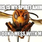 Spirit animal | THIS IS MY SPIRIT ANIMAL; SO DON'T MESS WITH ME | image tagged in murder hornet | made w/ Imgflip meme maker