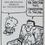 I don't like the direction this conversation is taking | WHY ARE POLITICS TAKING UP ALL THE GOOD MEMES | image tagged in i don't like the direction this conversation is taking | made w/ Imgflip meme maker