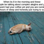 man im so done | When its 8 in the morning and these people be talking about complex alegbra and you havent had your coffee yet and you are running on 4 hours of sleep and honestly just trying to survive | image tagged in tired dog | made w/ Imgflip meme maker