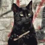 cat filing nails GIF Template