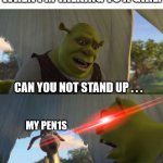 Same? | WHEN I'M TALKING TO A GIRL:; CAN YOU NOT STAND UP . . . MY PEN1S; FOR FIVE MINUTES?!! | image tagged in shrek for five minutes | made w/ Imgflip meme maker