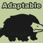 adaptable