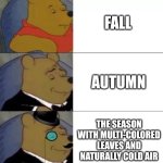 Anyone want pumpkin pie? | FALL; AUTUMN; THE SEASON WITH MULTI-COLORED LEAVES AND NATURALLY COLD AIR | image tagged in fancy pooh,memes,funny,autumn | made w/ Imgflip meme maker