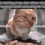 Uhm, nothing's in there... | Me looking at my uber driver when my luggage starts screaming for help: | image tagged in gifs,funny,meme,memes,funny memes,funny meme | made w/ Imgflip video-to-gif maker