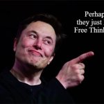 Elon Hate | Perhaps they just hate Free Thinkers? RyanFrodle2024 | image tagged in elon musk | made w/ Imgflip meme maker