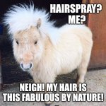 Cute pony | HAIRSPRAY? 
ME? NEIGH! MY HAIR IS THIS FABULOUS BY NATURE! | image tagged in cute pony | made w/ Imgflip meme maker