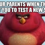 Testing a new shirt be like... | YOUR PARENTS WHEN THEY WANT YOU TO TEST A NEW SHIRT | image tagged in i m da biggest bird,shirt,angry birds | made w/ Imgflip meme maker