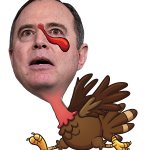 ADAM "SHIFTY" SCHIFF meme