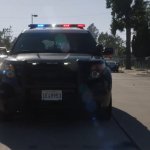 police car