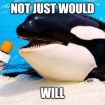 Orca talking into a microphone | NOT JUST WOULD; WILL | image tagged in orca talking into a microphone | made w/ Imgflip meme maker