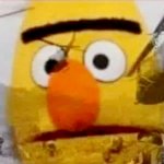 Bert PTSD