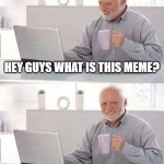 Hide the Pain Harold | HEY GUYS WHAT IS THIS MEME? THE HOUSE IS ON FIRE | image tagged in memes,hide the pain harold | made w/ Imgflip meme maker