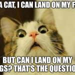 feet | AS A CAT, I CAN LAND ON MY FEET. BUT CAN I LAND ON MY LEGS? THAT'S THE QUESTION. | image tagged in memes,scared cat | made w/ Imgflip meme maker