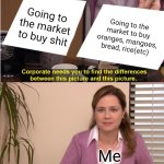 They are the same | Going to the market to buy shit; Going to the market to buy oranges, mangoes, bread, rice(etc); Me | image tagged in memes,they're the same picture | made w/ Imgflip meme maker