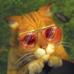 rizz kitty